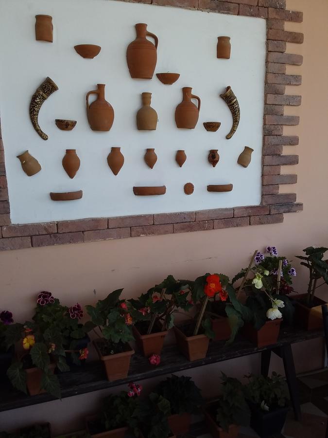 Guest House Medea Telavi Ngoại thất bức ảnh